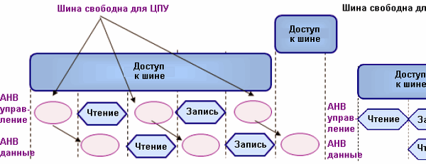 На каждой фазе доступа к шине три цикла свободны для ЦПУ
